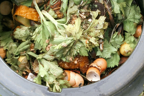 Composting household waste at home