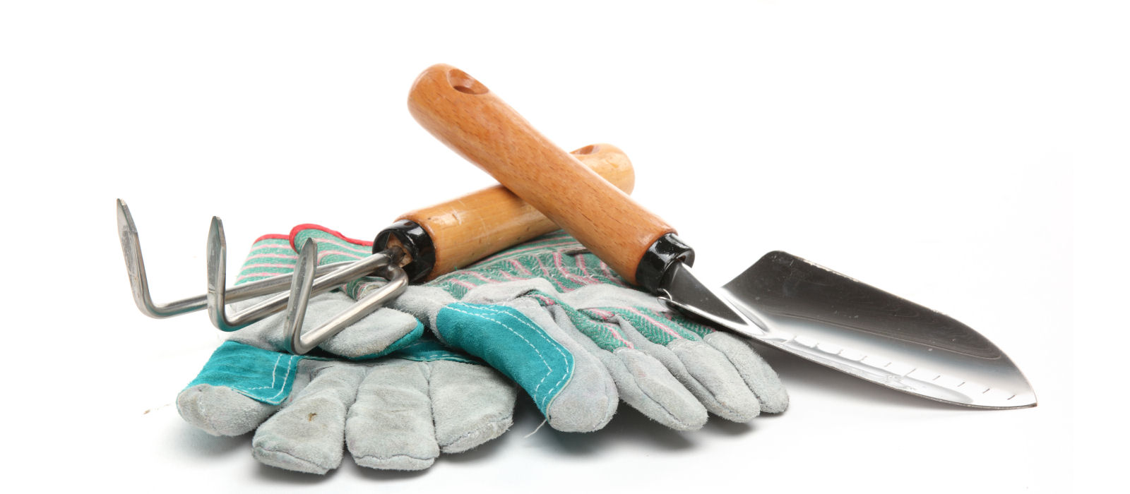 Feeding Wales gardening tools