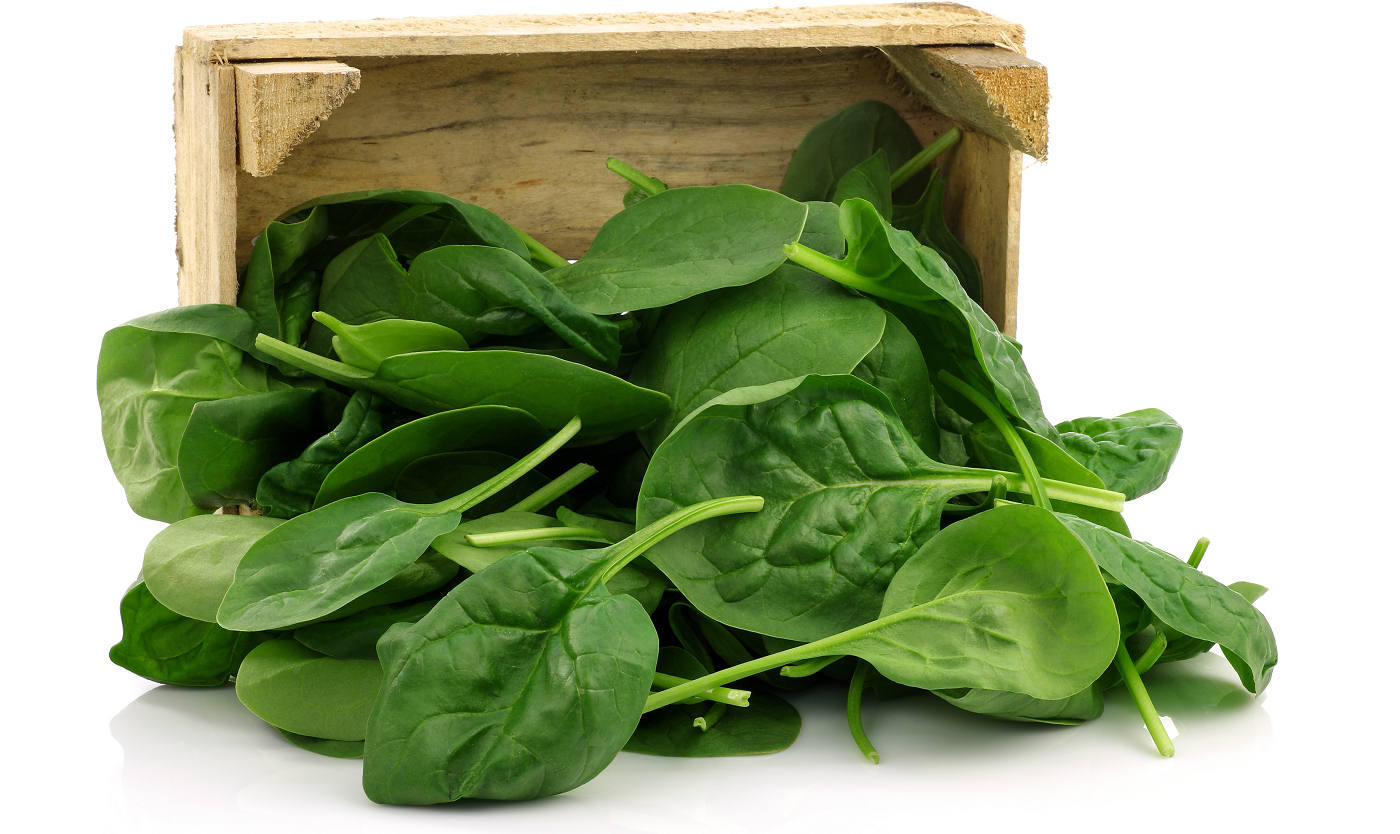 Feeding Wales spinach