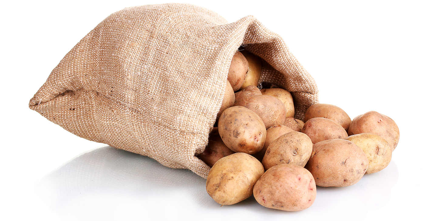 Potatoes grown by Feeding Wales