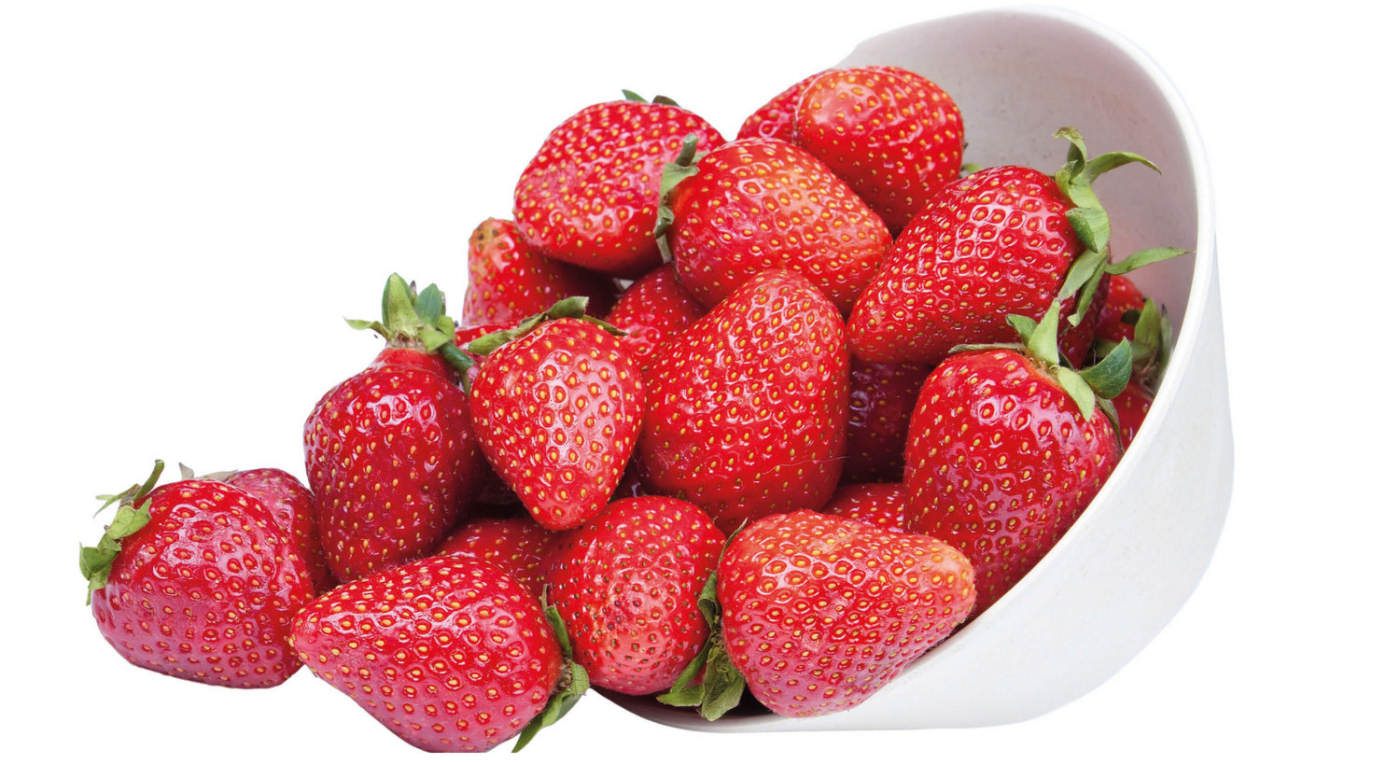 Growing strawberries in Wales