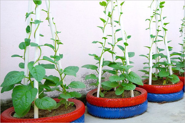 Growing vegetables in yards, patios and paved areas