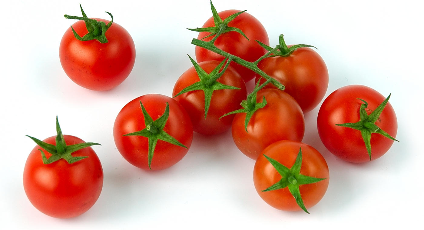Cold frame and outdoor tomatoes